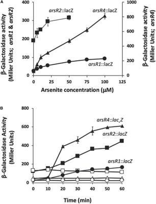 Introducing the ArsR-Regulated Arsenic Stimulon